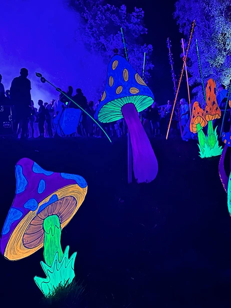 festival